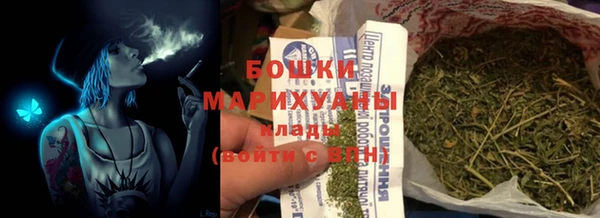 прущие грибы Вяземский