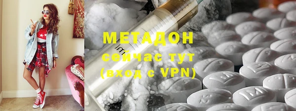 прущие грибы Вяземский