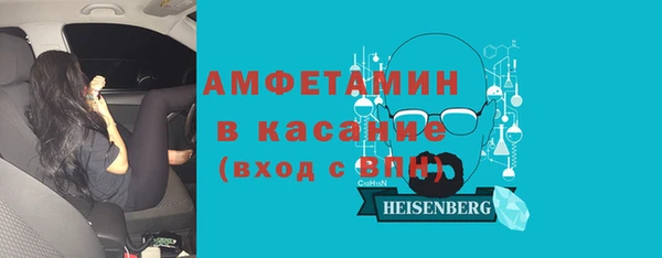 прущие грибы Вяземский