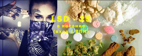 прущие грибы Вяземский