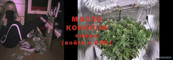 прущие грибы Вяземский
