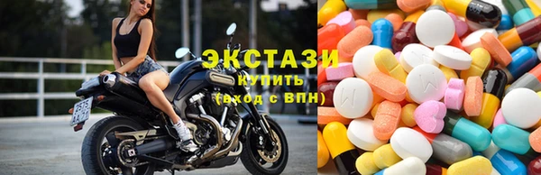 прущие грибы Вяземский
