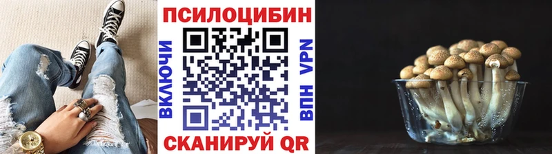 Купить  Дегтярск  Псилоцибиновые грибы Psilocybine cubensis 